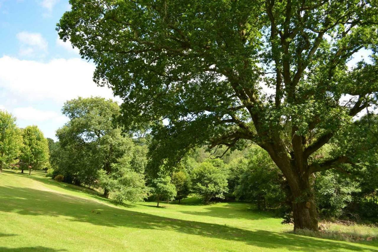Oak Tree Villa Warleggan Exterior photo